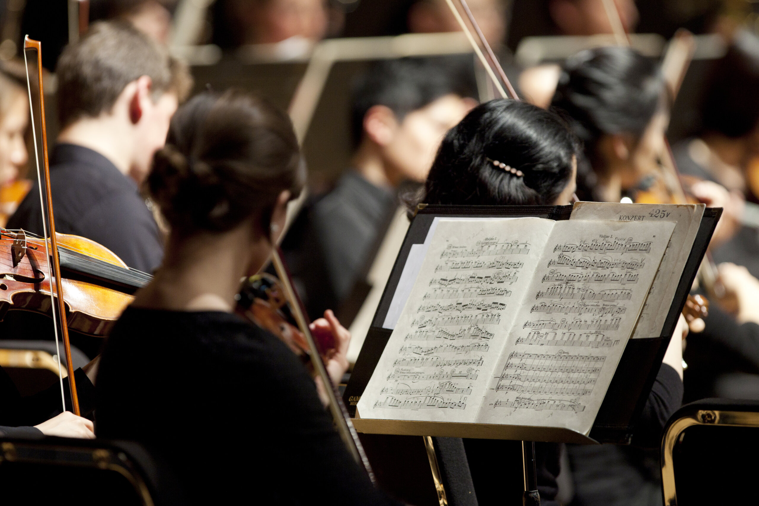 Rutgers Symphony Orchestra Mason Gross School Of The Arts 